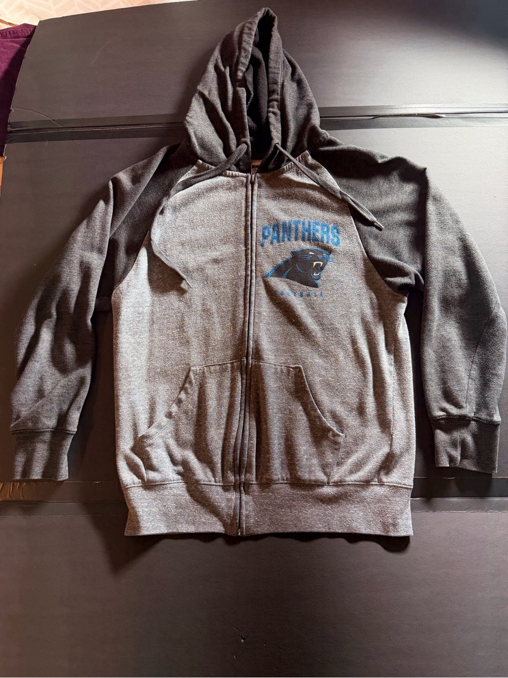 Team Apparel Panthers Zip-Up Hoodie - Gray with Blue Logo